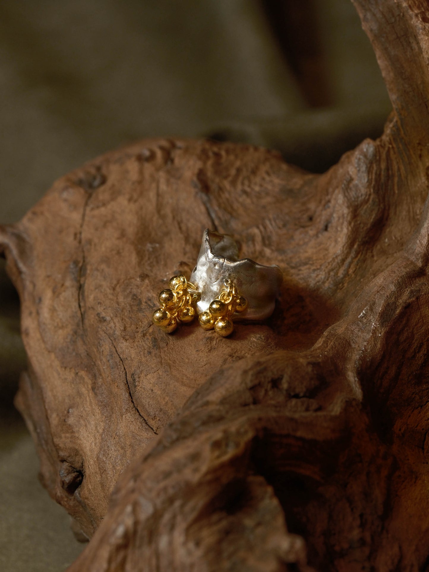 Forest Accompaniment - Silver Ring with 14K Gold-Filled Design