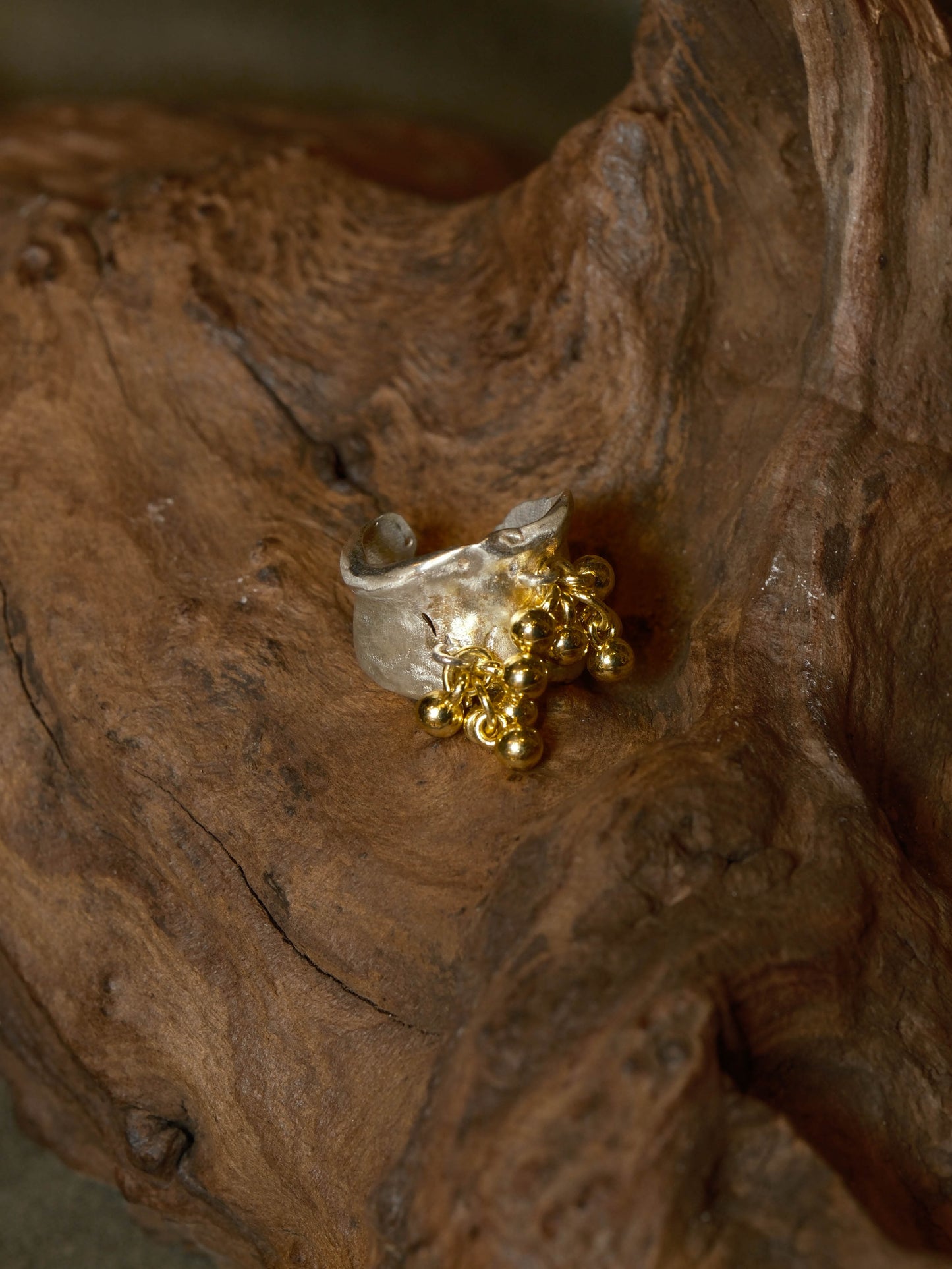 Forest Accompaniment - Silver Ring with 14K Gold-Filled Design